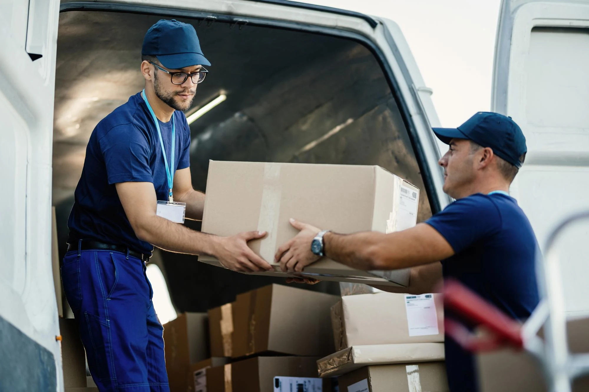 removal services