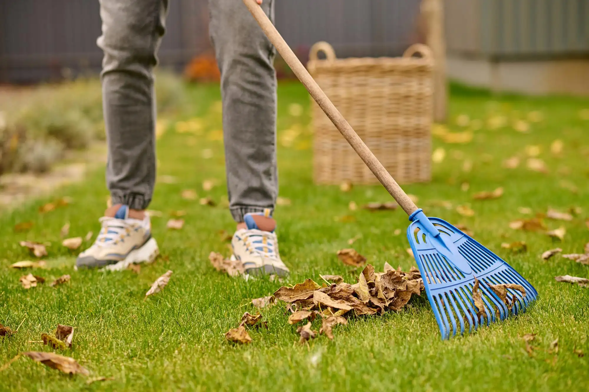 cleaning